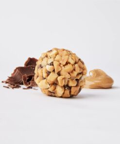 The Gluten Free Bar, Protein Bites, Dark Chocolate Peanut Butter, 4 Ounce, Vegan, Dairy Free, Non GMO, Soy Free 4 Ounce (Pack of 1) 16 61pAzp5ccOL