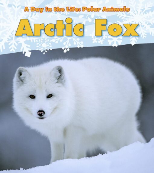 Arctic Fox (Day in the Life: Polar Animals)