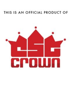 Crown Sporting Goods SCOA-001 Stainless Steel Whistle with Lanyard – Great for Coaches, Referees, and Officials by 14 61pR FdbKCL