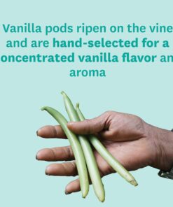 HEILALA - Pure Vanilla Bean Paste - Gourmet Madagascar Bourbon Variety, Crafted with Hand-Selected & Ethically Sourced Vanilla Pods for Baking and Dessert recipes, Gluten Free - 65g (2 Pack) 2.29 Ounce (Pack of 2) 13 61pS QA8kvL 2