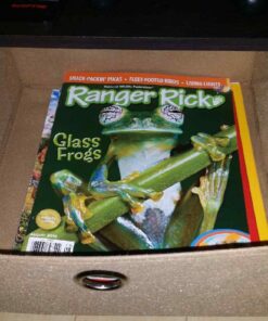 Furinno Andrey End Table / Side Table / Night Stand / Bedside Table with Bin Drawer, Espresso/Brown 1-Pack, Center Bin 55 61pXZCts6UL