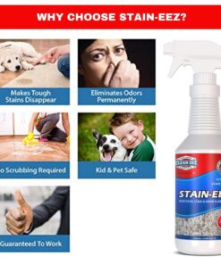 Clean-eez Stain-eez Carpet Cleaner Spray – Pro-Biotics & Enzyme Power for Ultimate Stain & Odor Elimination – Best Pet Carpet Cleaner Single Bottle 13 61pZNhPNkYL
