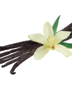 LorAnn Organic Madagascar Vanilla Bean Paste, 4 Ounce 13 61paoWXr04L