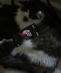 Motorola Nexus 6 32GB GSM Unlocked Smartphone w/ Brilliant 6" Screen & Dual Front-facing Stereo Speakers - Midnight Blue,International Version 32 GB 26 61pdvG6NQIL