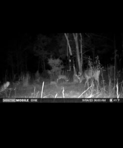 Moultrie Feed Station, Choose Model Feed Station II 38 61pftvHdZ3L