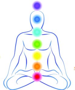 CHAKRA Rainbow® Centers CHART: Body-Mind-Spirit Connections in the Inner Light Resources Charts Series. 2-Sided, 8.5 x 11 in. (Small Poster/ Large Card) Perfect Paperback 29 61phkZFQJqL