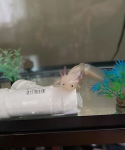 Alternative view of Marineland PRBW150B 150b Bio Wheel Assembly Penguin Filter Parts for Aquarium, Grey