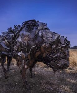 Stunning Digital Photography 35 61pooOx82NL