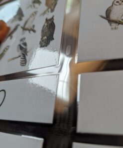 GBC Thermal Laminator Machine, Inspire, 9 Inch, Quick Warm-Up, 3 or 5 Mil, with 5 Standard Laminating Pouches for Home, Office and Classroom, Black (1701857) Frustration-Free Packaging 33 61pqRgrCcL