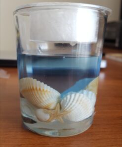 Seashell Gel Tealight Holder with palm wax 1 Count (Pack of 1) 35 61pxNyfXB4L