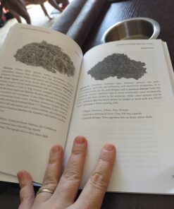 Alkaline Herbal Medicine: Reverse Disease and Heal the Electric Body (Alkaline Plant Based Series) 18 61pxtAiyoL 1