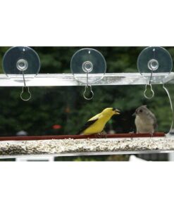 Tranquil Outdoors Large Acrylic Window Bird Feeder: Strong Removable Suction Cup Mounted Outdoor Bird House Feeder, Clear Birdfeeders for Large & Small Birds. Best See Thru Feeder for Bird Watching 47 61pyNS0mQL