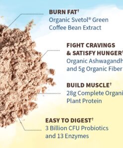 Garden of Life Raw Organic Fit Vegan Protein Powder Chocolate, 28g Plant Based Protein for Weight Loss, Pea Protein, Fiber, Probiotics, Dairy Free Nutritional Shake for Women and Men, 10 Servings 16.04 Ounce (Pack of 1) 13 61pz86nZFvL