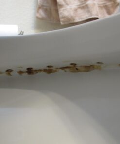 Better Life Toilet Bowl Cleaner - Tea Tree & Peppermint Scent Cleaning Gel - Liquid Bathroom Cleaners for Household - 24oz 24 Fl Oz (Pack of 1) 12 61q uQXEUZL