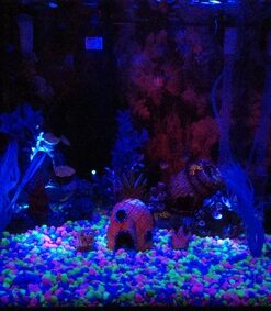 SunSun JUP-01 9W UV Sterilizer Submersible Filter Pump 69 61q01oQetuL 1