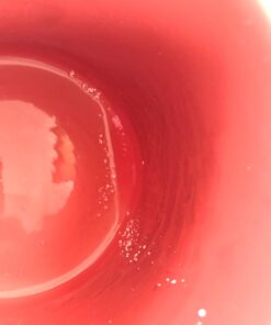 C4 Original Pre Workout Powder Fruit Punch - Vitamin C for Immune Support - Sugar Free Preworkout Energy for Men & Women - 150mg Caffeine + Beta Alanine + Creatine - 60 Servings 60 servings (Pack of 1) 31 61q10kNxqbL