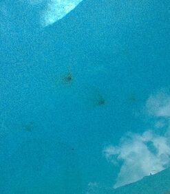 Purity Pool OS Out Spot Stain Remover 35 61q6ZvT CtL