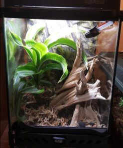 Zoo Med Reptirain Automatic Habitat Mister, 12" L X 11.5" W X 5.5" H 12 IN 15 61q7O1EiTXL