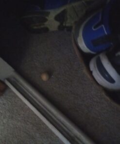 Fresh Cab Botanical Rodent Repellent - Environmentally Friendly, Keeps Mice Out, 4 Scent Pouches 23 61q8T3Gv1wL