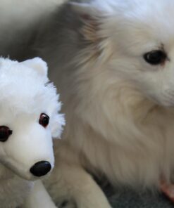 Wild Republic Arctic Fox Plush, Stuffed Animal, Plush Toy, Gifts for Kids, Cuddlekins 12 Inches 28 61q8UOBN TL