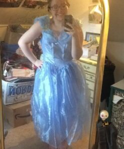 Disney Disguise Women's Cinderella Movie Adult Deluxe Costume Large Blue 19 61qC3 CsaCL