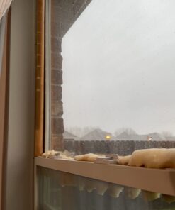 Whynter ARC-14S 14,000 BTU Dual Hose Portable Air Conditioner with Dehumidifier and Fan for Rooms Up to 500 Square Feet, Includes Storage Bag, Platinum/Black, AC Unit Only 81 61qESHrtNWL