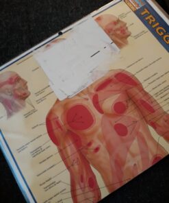 Trigger Points (Quick Study Academic) Pamphlet, Illustrated 18 61qFXojNb9L