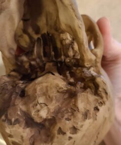 Grinning Highly Realistic Replica Human Skull Statue Home Décor 6.5x4.25x4.6" 32 61qHNKol9XL