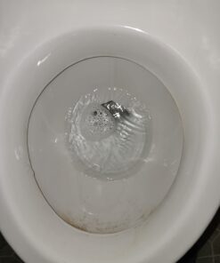 PUMIE Toilet Bowl Ring Remover, TBR-6, Grey Pumice Stone with Handle, Removes Unsightly Stains from Toilets, Sinks, Tubs, Showers, Pools, Safe for Porcelain, 1 Pack 1 Count (Pack of 1) 65 61qL 1y3O9L