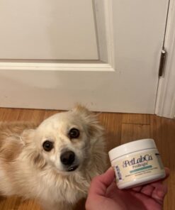 PetLab Co. ProBright Dental Powder for Dogs - Tailored Teeth Cleaning Made Easy – Formula Tailored for Small-Sized Dogs Small Dogs 21 61qN s6czcL