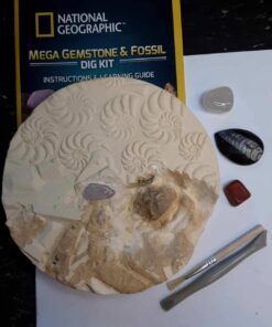 NATIONAL GEOGRAPHIC Mega Fossil Dig Kit - Excavate 15 Genuine Prehistoric Fossils, Kids Educational Toys, Great Science Kit Gift for Girls and Boys (Amazon Exclusive) 42 61qSd3aZrvL