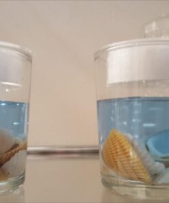 Seashell Gel Tealight Holder with palm wax 1 Count (Pack of 1) 36 61qTYMDAAnL