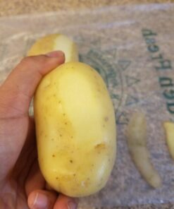 Precision Kitchenware - Ultra Sharp Stainless Steel Dual Julienne & Vegetable Peeler with Cleaning Brush & Blade Guard 21 61qa4WznP2L 1