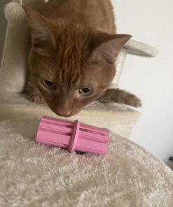 KONG - Puppy Teething Stick - Teeth Cleaning Dog Chew Toy (Assorted Colors) - for Small Puppies Standard Packaging 33 61qchUoWxtL