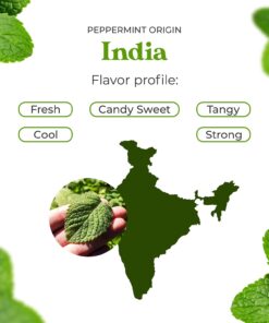 Peppermint Essential Oil (Huge 4oz Bottle) Bulk Peppermint Oil - 4 Ounce 4 Fl Oz (Pack of 1) 29 61qovf2YvPL