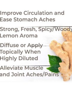 Plant Therapy Ginger Root CO2 Essential Oil 100% Pure, Undiluted, Natural Aromatherapy, Therapeutic Grade 10 mL (1/3 oz) 8 61qradpP2nL