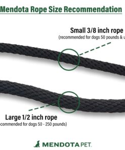 Mendota Pet Slip Leash - Dog Lead and Collar Combo - Made in The USA - Orange, 3/8 in x 6 ft - for Small/Medium Breeds 12 61qtAX9KYLS