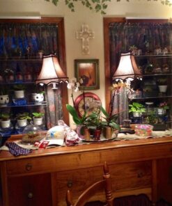 Beautiful Views Hanging Window Plant Shelves (4 Shelves) 4 Shelves 20"x6"x54" 46 61qvwo0AIL