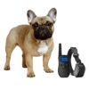 eXuby Shock Collar for Small Dogs with Remote - Includes 2 Collars - Small & Medium and Training Clicker – 3 Modes (Sound, Vibration & Shock) with Rechargeable Batteries 41 61qw3xrlQiL 1