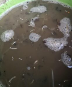 Jobe’s Organics 09226NA Granular Plant Food Fruit & Citrus, 4lbs, Brown 32 61qyOax8UuL