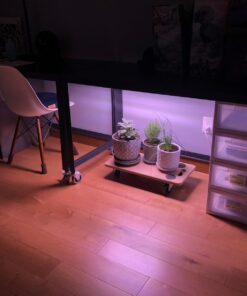 BN-LINK 8 Outlet Surge Protector with Mechanical Timer (4 Outlets Timed, 4 Outlets Always On) - White 32 61r3edOp1VL