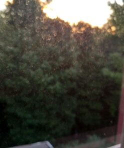 Windex Outdoor Glass & Patio Cleaner, 32oz 32 Ounce (Pack of 1) 9 61r84IcXL0L