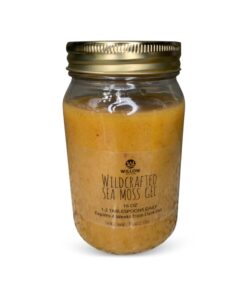 Avery Printable Blank Rectangle Labels, 2" x 3", Glossy Crystal Clear, 80 Customizable Labels (22822) 80 Labels Glossy Clear 36 61r8anqIeL