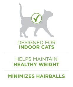 Purina ONE Natural, Low Fat, Weight Control, Indoor Dry Cat Food, +Plus Indoor Advantage - 7 lb. Bag Turkey 7.00 Pound (Pack of 1) 15 61rBOP Z6HL 2