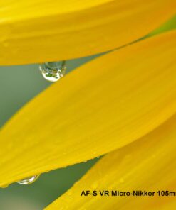 Nikon AF-S VR Micro-NIKKOR 105mm f/2.8G IF-ED Lens Lens Only 38 61rEIYorGSL