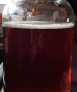 1790 Large Glass Jars with Lid - Wide Mouth 1 Gallon Glass Jar with Lid - Glass Gallon Jar for Kombucha & Sun Tea - Gallon Mason Jars are Large Glass Jars with Lids 1 Gallon for Food Storage - 2 Pack 35 61rHe SuB1L