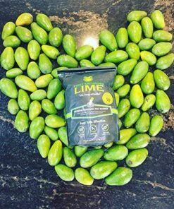 First Saturday Lime for Insects 20lb 29 61rM174VNL