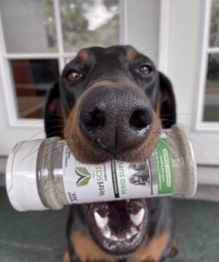 VETRISCIENCE Perio Support Teeth Cleaning Dental Powder for Dogs and Cats, Up to 192 Servings – Clinically Proven to Reduce Plaque and Tartar Perio Powder 22 61rPWtfe4L