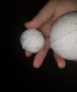 Herbal Sampler: Flowers (All Organic) 9 61rSjY84EwL