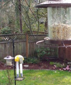 Perky-Pet 312-1SR Outdoor Panorama Wild Bird Feeder - 2 Lb Seed Capacity Brown 42 61rZFAUvDfL